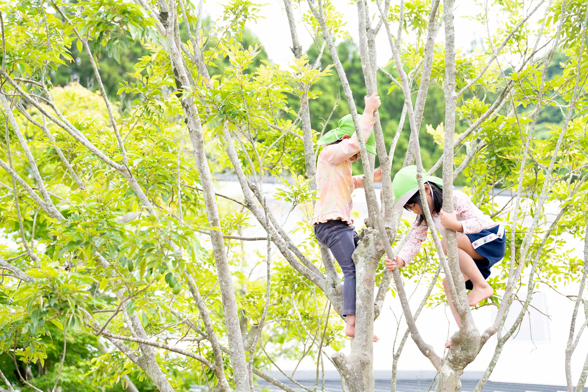 豊かな自然体験で生きる力を育む保育 おののもりこども園