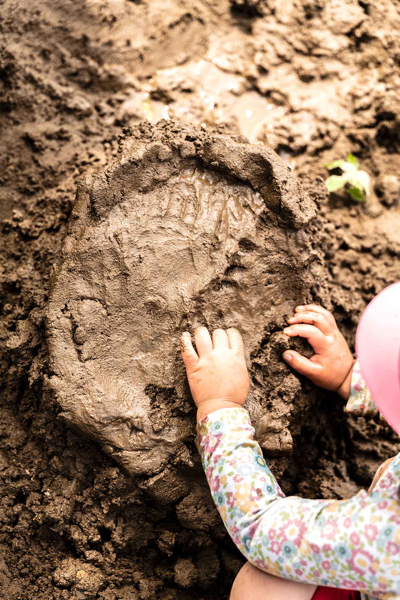 豊かな自然体験で生きる力を育む保育 おののもりこども園