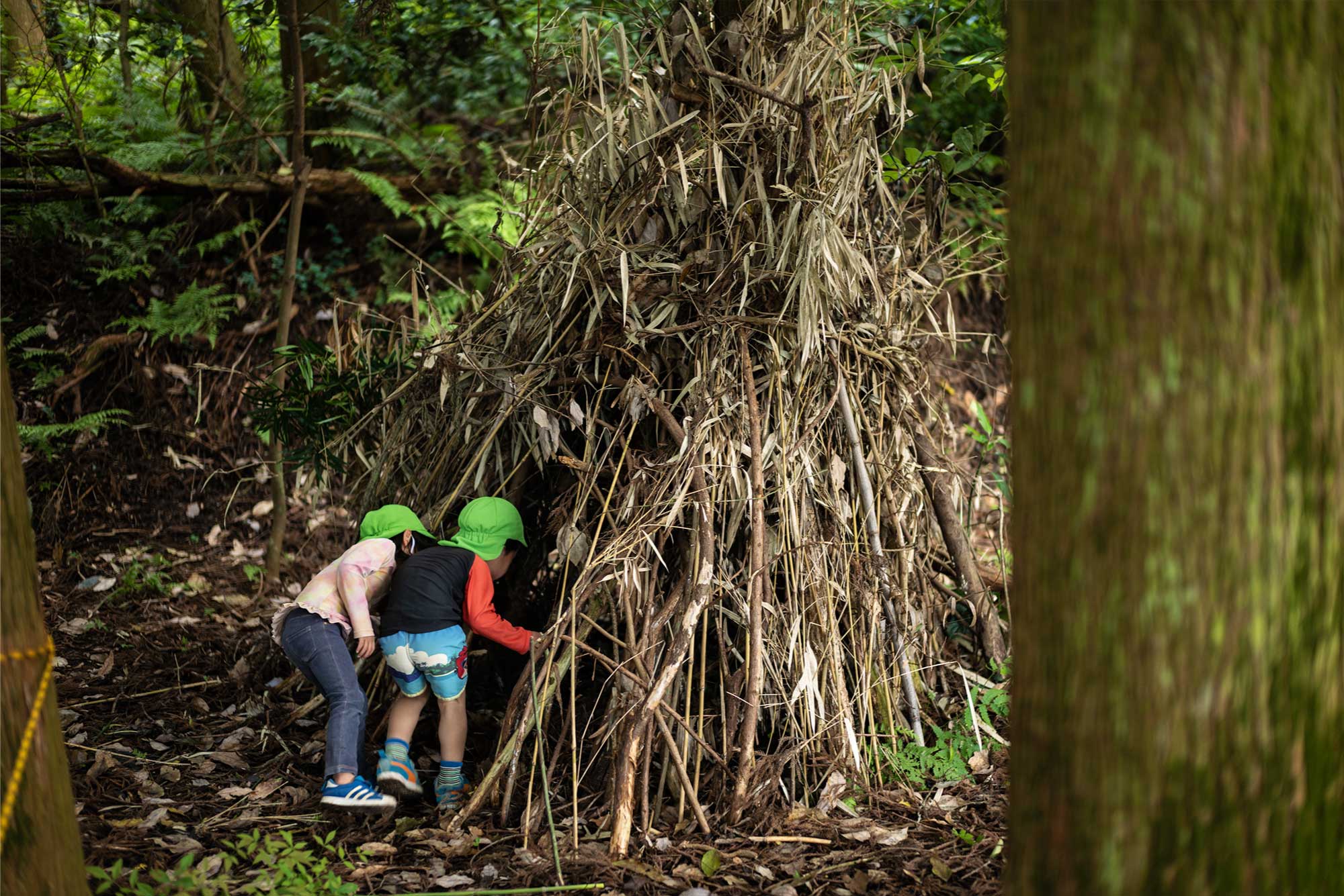 豊かな自然体験で生きる力を育む保育 おののもりこども園