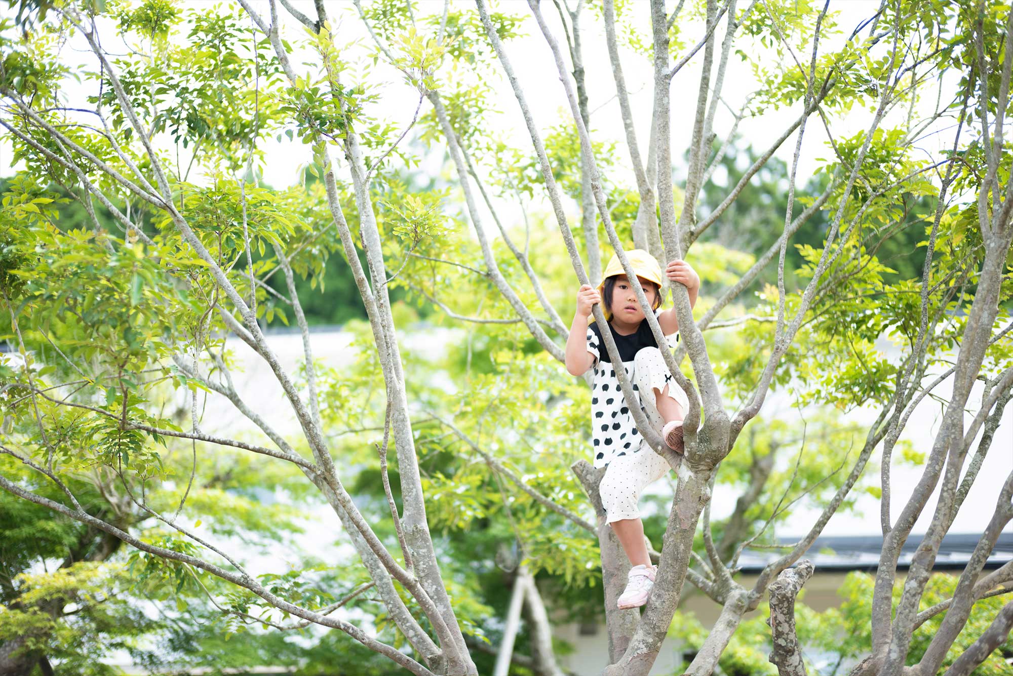 おののもりこども園